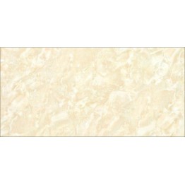 Gạch ốp tường Trường Thịnh WALL TILES G62005